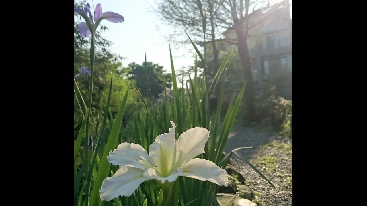Yilan Stone House Homestay מראה חיצוני תמונה